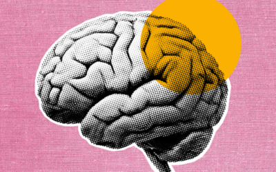 The Ferrari with a Small Gas Tank: A Case Study in Asynchronous Development.