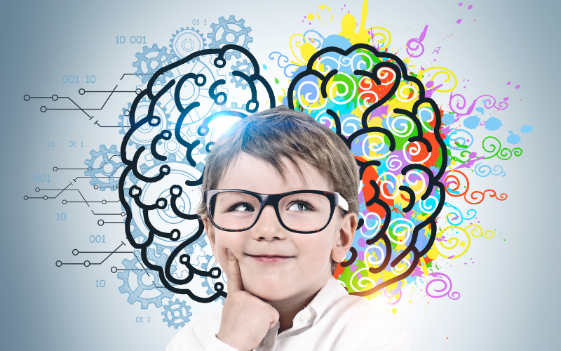 What’s Actually Happening Inside Your Child’s Developing Brain